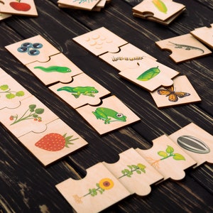 May include: A set of wooden puzzle pieces featuring colorful illustrations of life cycles, including a frog, a butterfly, a sunflower, and a strawberry. Each square piece has interlocking edges and displays stages of growth for plants and animals.