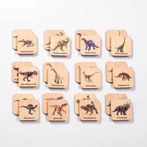 Cartões de dinossauros combinando, Flashcards de aprendizagem de dinossauros, Cartões de memória de madeira, Presente para crianças, Brinquedos Montessori para crianças de 3 anos, Brinquedos educativos para crianças pequenas