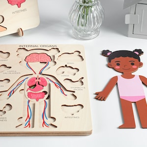 Learning human body Internal organs, Medical Pretend play Doctor set, Montessori toys, Anatomy teacher gifts, Gift for kids gifts toddler image 2