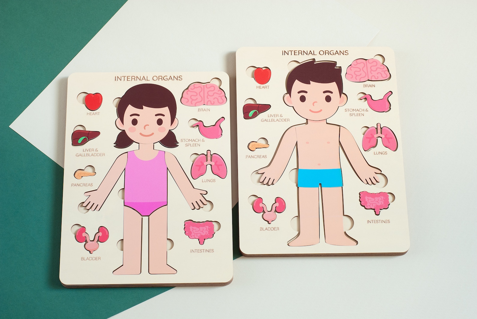 Gifts for Kids Human Body Puzzle Jigsaw Puzzle Kids Gifts - Etsy