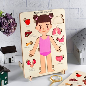 Geschenke für Kinder, Körperrätsel, Puzzlespiel, Lerngeschenke für Kinder, Holzspielzeug für Jungen, Montessori-Spielzeug, Bildungsspielzeug