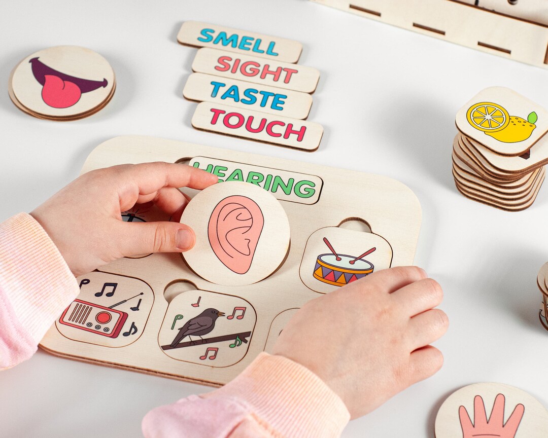 Five Senses Sorting Activity Puzzle, Toddler Gift, 5 Senses ...