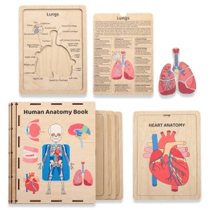 Wooden Anatomy Book for Kids, Human Anatomy Puzzle, Montessori Toys, Learning Human Organs, Kindergarten Activities Body Parts, Toddler Gift
