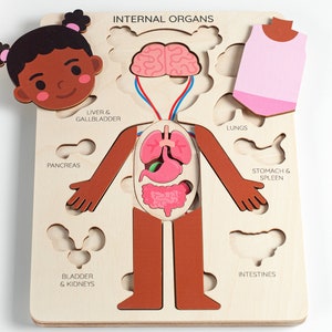 Learning human body Internal organs, Medical Pretend play Doctor set, Montessori toys, Anatomy teacher gifts, Gift for kids gifts toddler image 9