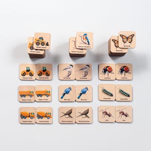 Bijpassend geheugenspel, houten dieren flashkaarten, peuter 2 3 jaar oude montessorimaterialen, leren vogels insecten dinosaurussen, cadeau voor kinderen