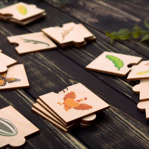 Life cycle wooden puzzle for toddlers with colorful illustrations shows the pattern of plant and animal life cycles.