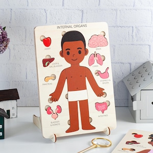 Back to School Gift, Human Anatomy Organs Wooden Puzzle, Educational Learning Toy, Handcrafted Birch