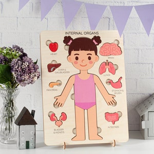 Human body puzzle, Anatomy puzzle, Montessori toys, Anatomy board, Kids learning toys, Body parts puzzle, Gifts for Kids, Pretend play image 9
