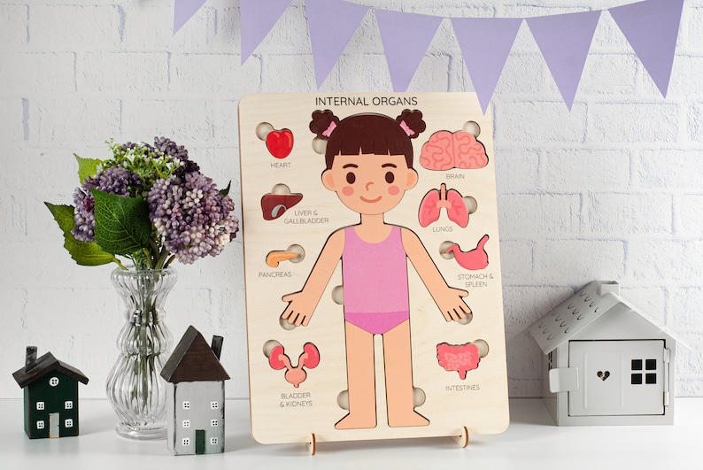Human body puzzle, Anatomy puzzle, Montessori toys, Anatomy board, Kids learning toys, Body parts puzzle, Gifts for Kids, Pretend play image 9