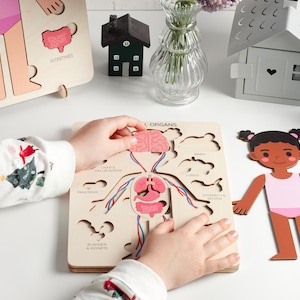 May include: Wooden educational puzzle of a human body with internal organs. The puzzle includes labeled pieces for the brain, lungs, and other organs. A child is shown interacting with the puzzle, placing a brain piece. A wooden doll is also present.