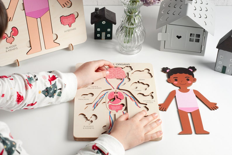 May include: Wooden educational puzzle of a human body with internal organs. The puzzle includes labeled pieces for the brain, lungs, and other organs. A child is shown interacting with the puzzle, placing a brain piece. A wooden doll is also present.