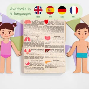 Preschool Human Anatomy for Toddler, Organs Body Puzzle, Human Body Puzzle, Montessori Toys, Wooden Educational Toys, Gifts Toys for Kids