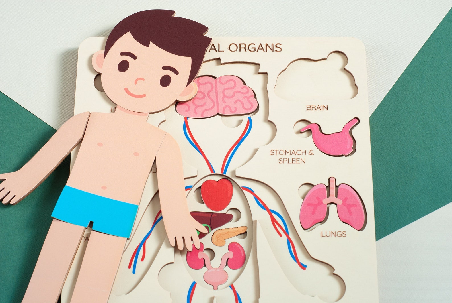 Gifts for Kids Human Body Puzzle Jigsaw Puzzle Kids Gifts - Etsy