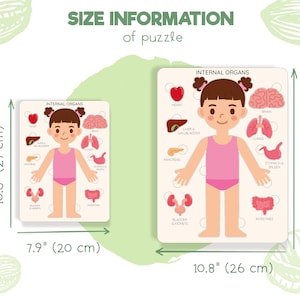 Human body puzzle, Anatomy puzzle, Montessori toys, Anatomy board, Kids learning toys, Body parts puzzle, Gifts for Kids, Pretend play image 6