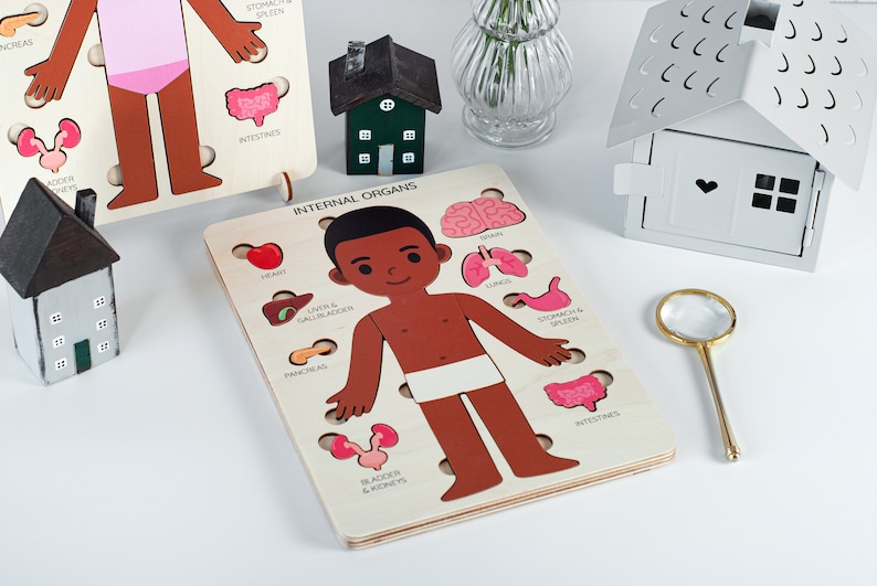Human body puzzle, Anatomy puzzle, Montessori toys, Anatomy board, Kids learning toys, Body parts puzzle, Gifts for Kids, Pretend play image 3