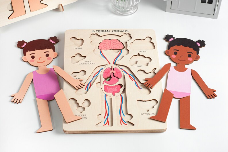 Human body puzzle, Anatomy puzzle, Montessori toys, Anatomy board, Kids learning toys, Body parts puzzle, Gifts for Kids, Pretend play image 8