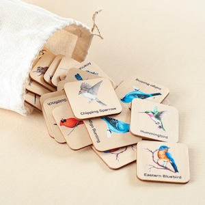Tarjetas de madera para emparejar pájaros, juguetes para pájaros, juego de memoria, materiales Montessori para niños de 1, 2, 3 y 4 años, juguetes de aprendizaje para niños pequeños, regalo para niños