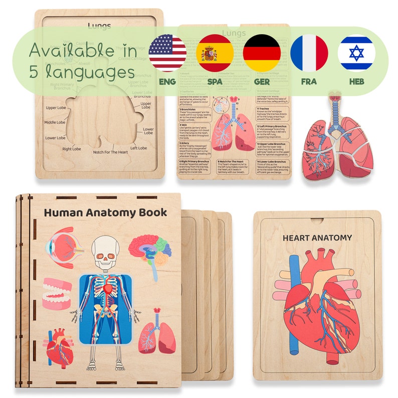 Puede incluir: Un set educativo de madera sobre anatom&iacute;a humana que incluye un libro con un diagrama esquel&eacute;tico, un tablero de rompecabezas de pulmones con partes etiquetadas, una tarjeta informativa de anatom&iacute;a pulmonar y un tablero de anatom&iacute;a card&iacute;aca.