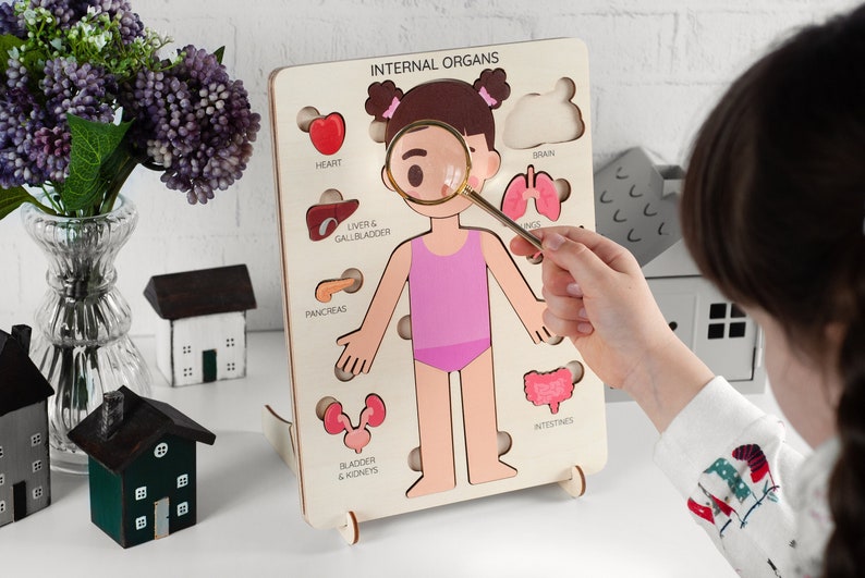 May include: Wooden educational puzzle of a human body with labeled internal organs. The puzzle features a cutout design with removable pieces, including the heart, lungs, and brain. A child is using a magnifying glass to examine the puzzle. The text "INTERNAL ORGANS" is at the top.
