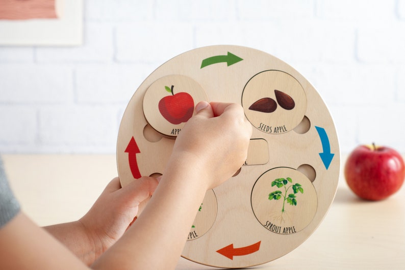 Montessori Life Cycle Puzzle, Wooden Learning toys, Life cycle board, Baby Puzzle, Kids Wooden Puzzle, Christmas Toddlers gift Montessori image 7