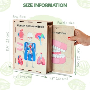 Puede incluir: Una caja de madera Human Anatomy Book que mide 29 cm por 24 cm, que contiene tableros de rompecabezas. Un tablero de 27 cm por 20 cm est&aacute; parcialmente retirado, mostrando un gr&aacute;fico de anatom&iacute;a dental. La caja presenta ilustraciones anat&oacute;micas.
