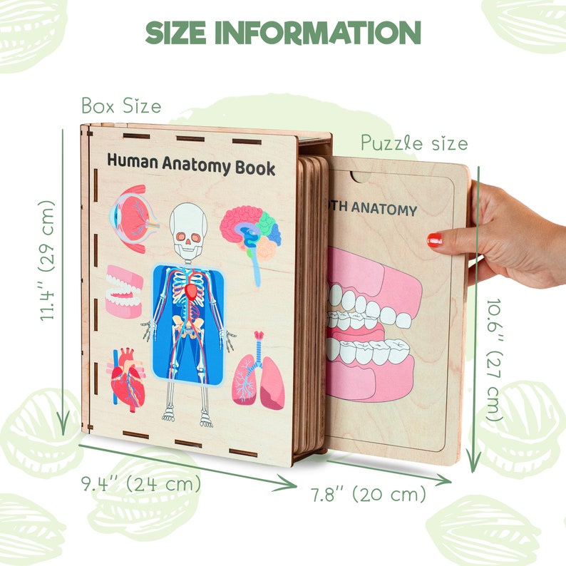 Puede incluir: Una caja de madera Human Anatomy Book que mide 29 cm por 24 cm, que contiene tableros de rompecabezas. Un tablero de 27 cm por 20 cm est&aacute; parcialmente retirado, mostrando un gr&aacute;fico de anatom&iacute;a dental. La caja presenta ilustraciones anat&oacute;micas.