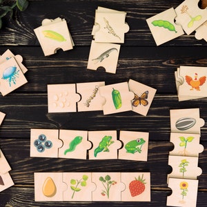 Frosch-Lebenszyklus, Holzpuzzle, Kleinkind-Puzzles im Puzzleformat, Montessori-Biologie, Schmetterlingslebenszyklus, Montessori-Spielzeug.