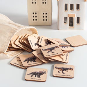 Cadeau pour garçon pour le 2e anniversaire, cartes assorties de dinosaures, jeu de mémoire, jouets montessori pour tout-petit, cartes flash dinosaures, apprentissage du transport des oiseaux, etc.