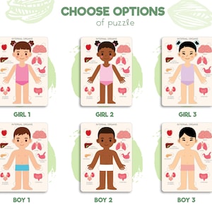 Human body puzzle, Anatomy puzzle, Montessori toys, Anatomy board, Kids learning toys, Body parts puzzle, Gifts for Kids, Pretend play image 4