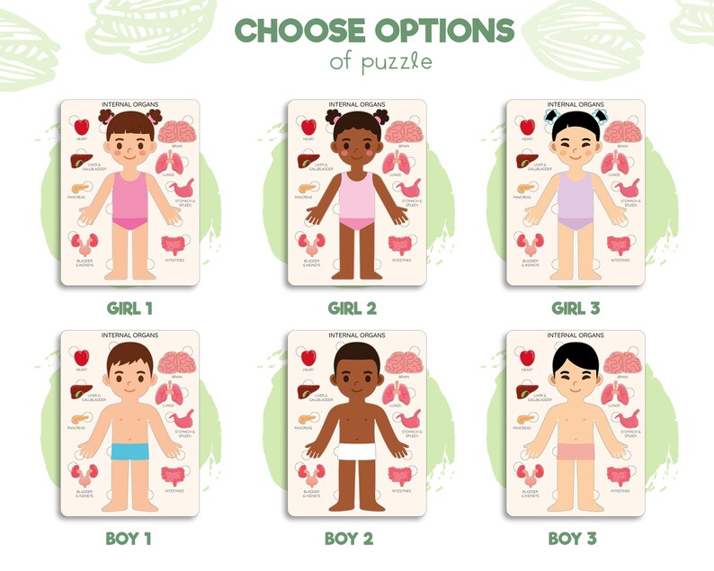 Human body puzzle, Anatomy puzzle, Montessori toys, Anatomy board, Kids learning toys, Body parts puzzle, Gifts for Kids, Pretend play image 4