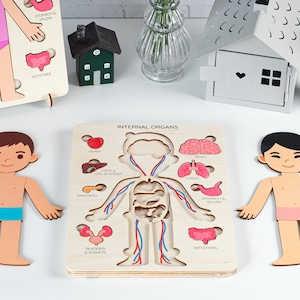 Gifts for kids, Human body puzzle, jigsaw puzzle, Kids gifts learning, Wooden toys for boys, Montessori toys, Educational toys, Preschool image 9
