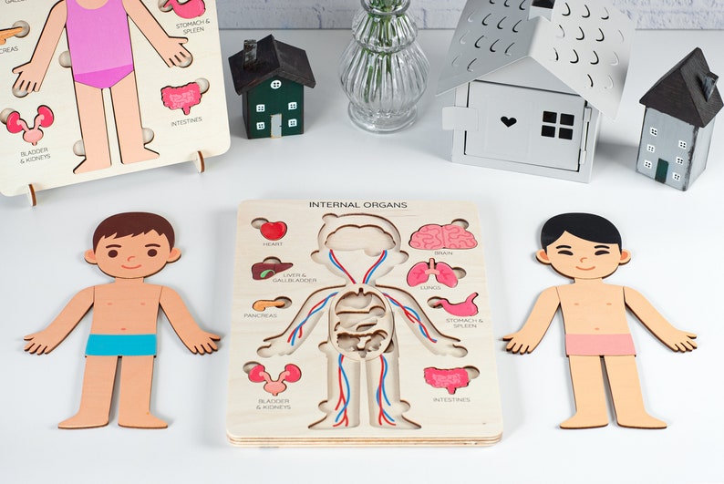 Gifts for kids, Human body puzzle, jigsaw puzzle, Kids gifts learning, Wooden toys for boys, Montessori toys, Educational toys, Preschool image 9