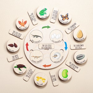 Rompecabezas del ciclo de vida Montessori, Juguetes educativos de la naturaleza Montessori, Tarjetas para combinar, Rompecabezas Montessori para niños pequeños, Rompecabezas educativo