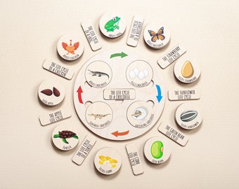 Rompecabezas Montessori del ciclo de vida, juguetes educativos Montessori sobre la naturaleza, tarjetas para emparejar, rompecabezas Montessori para niños pequeños, rompecabezas educativo