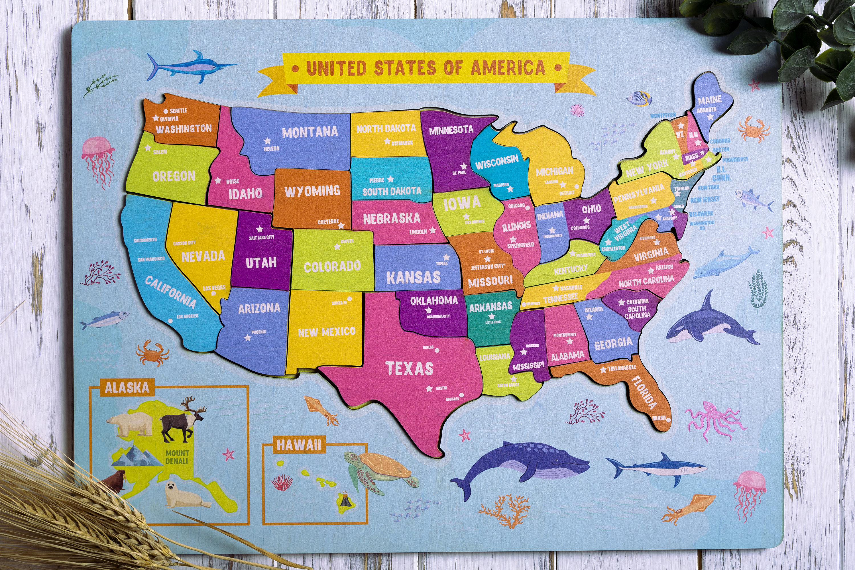 Printable United States Map Puzzle For Kids Make Your Own Puzzle