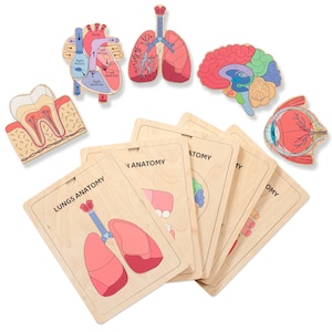Wooden book puzzle human anatomy, homeschool learning, human body toy, learning games, montessori materials, kindergarten development toy