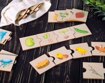 Frog Life Cycle, Wooden puzzle, Toddler puzzles jigsaw, Montesssori Biology, ButterflyLife Cycle, Montessori toys, Kids Christmas Gifts