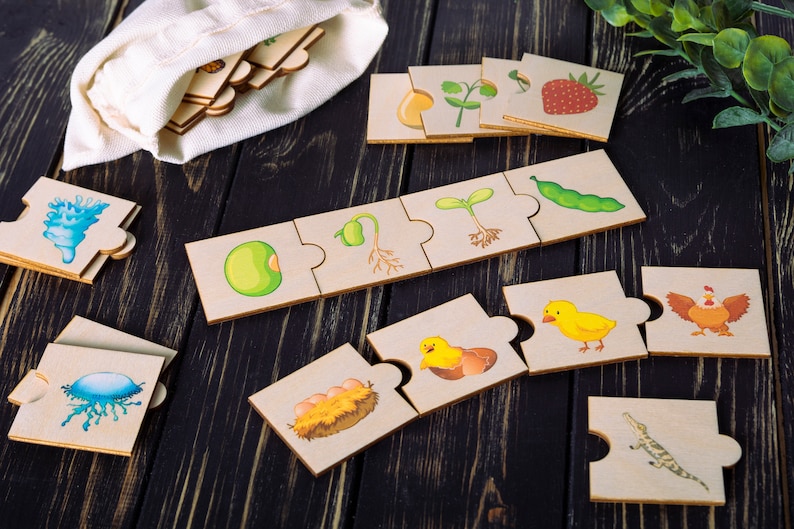 Life cycle wooden puzzle for toddlers with colorful illustrations shows the pattern of plant and animal life cycles.