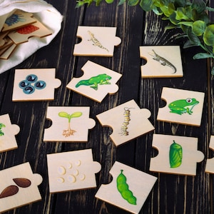 Ciclo di vita - Puzzle in legno per bambini di 2 3 4 anni, puzzle, giocattoli educativi per la scuola domestica per i più piccoli, carte di abbinamento per l'apprendimento della natura
