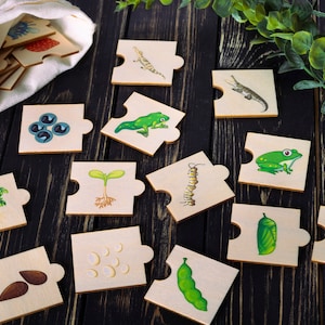 Frog Life Cycle, Wooden puzzle, Toddler puzzles jigsaw, Montesssori Biology, ButterflyLife Cycle, Montessori toys, Kids Christmas Gifts image 8