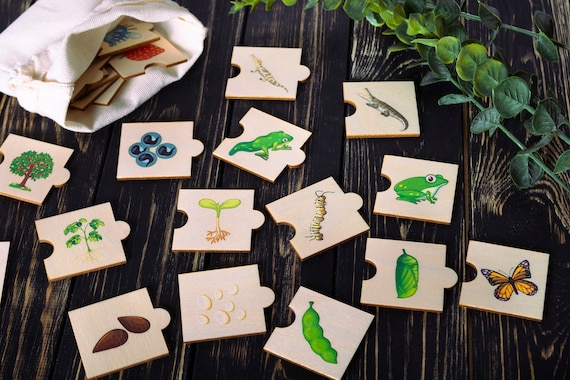 Nature toys for 2 year cheap olds