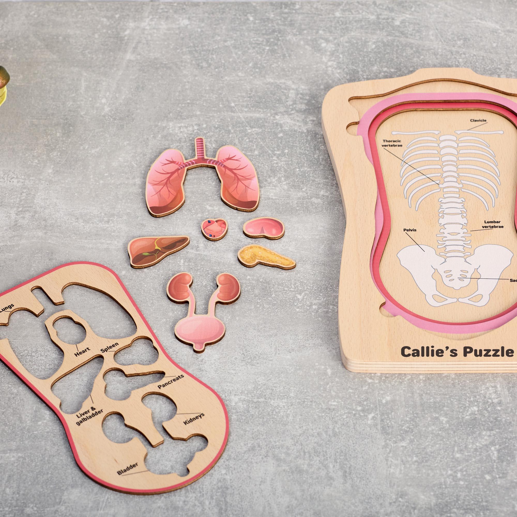 Kids Anatomy Human Body Puzzle, Montessori Toys, Internal Organs ...