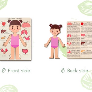 Human body puzzle, Anatomy puzzle, Montessori toys, Anatomy board, Kids learning toys, Body parts puzzle, Gifts for Kids, Pretend play image 7