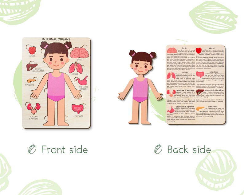 Human body puzzle, Anatomy puzzle, Montessori toys, Anatomy board, Kids learning toys, Body parts puzzle, Gifts for Kids, Pretend play image 7