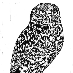 Burrowing Owl Print