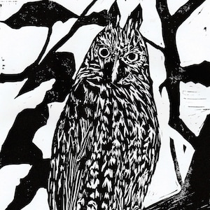 Stygian Owl Print