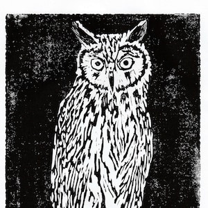 Striped Owl Print