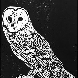 Barn Owl Print