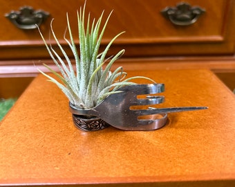 Middle finger air plant holder