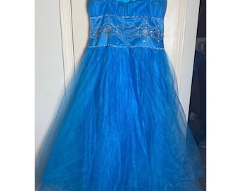 Plus Size Aqua Blue Ball Gown: Embellished Corset, Tulle Chiffon Skirt (L/XL)